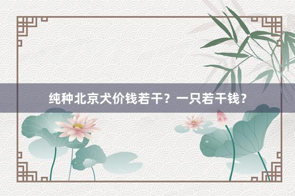 纯种北京犬价钱若干？一只若干钱？