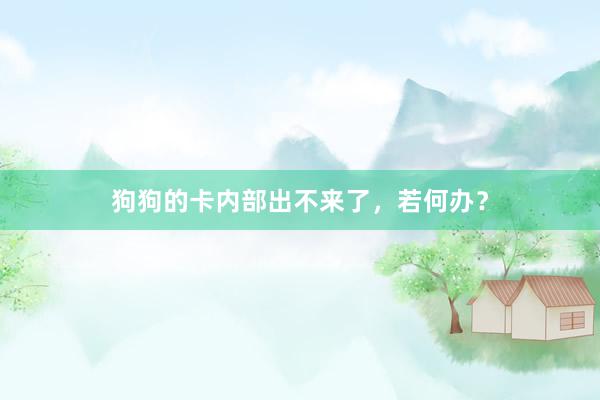 狗狗的卡内部出不来了，若何办？